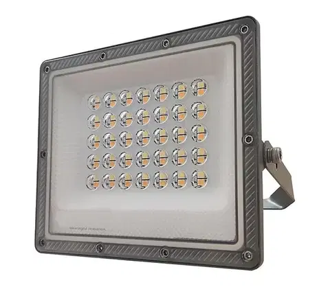 Svietidlá  LED Reflektor LED/30W/230V IP65 3000/4000/6500K 23613