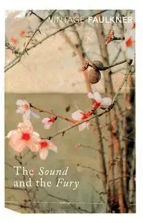 Cudzojazyčná literatúra Sound And The Fury - William Faulkner