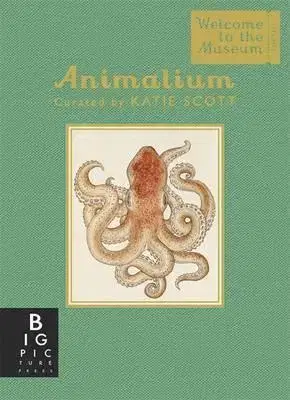 Biológia, fauna a flóra Animalium Mini Gift Edition - Jenny Broom,Katie Scott