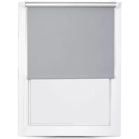 Rolety Roleta Mini Silver 110/150 MGR SXL-054