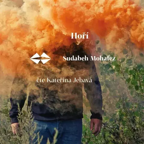 Detektívky, trilery, horory Větrné mlýny Hoří