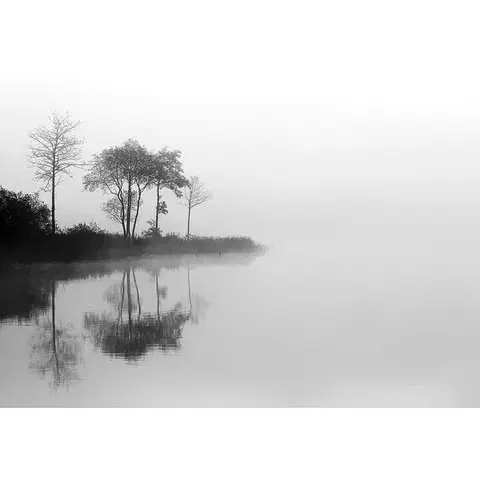 Obrazy Plátno maľba By the Lake I