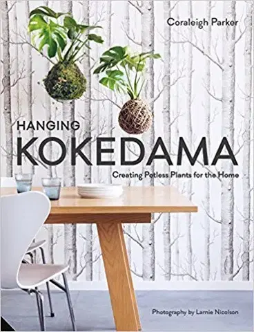 Izbové rastliny Hanging Kokedama - Coraleigh Parkerová