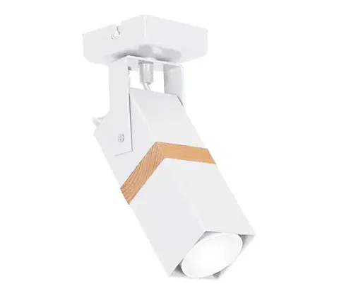 Svietidlá  Bodové svietidlo VIDAR 1xGU10/25W/230V biela MLP5405