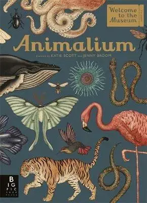V cudzom jazyku Animalium - Jenny Broom,Katie Scott