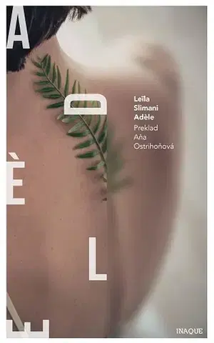 Svetová beletria Adéle - Leila Slimani,Aňa Ostrihoňová