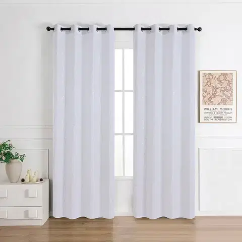 Záclony do obývačky Záclona na krúžkoch Anabel silver RP493 290x245 cm
