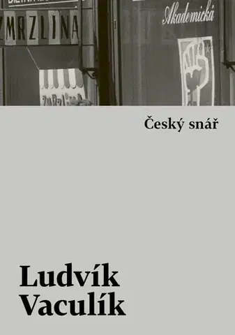 Česká beletria Český snář - s komentářovým výkladem - Ludvík Vaculík