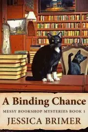 Svetová beletria A Binding Chance - Brimer Jessica