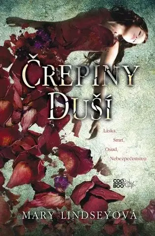 Young adults Črepiny duší - Mary Lindseyová