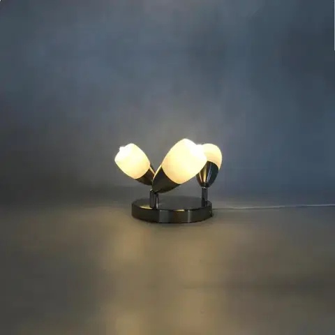 Bodové osvetlenie Stropné bodové svietidlo R5018-3R Satin chróm PL3