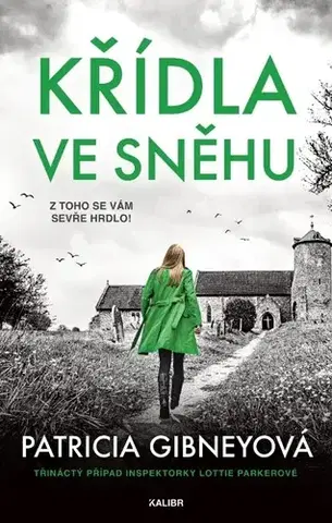 Detektívky, trilery, horory Křídla ve sněhu - Patricia Gibney