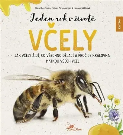Hmyz Jeden rok v životě včely - Tobias Miltenberger