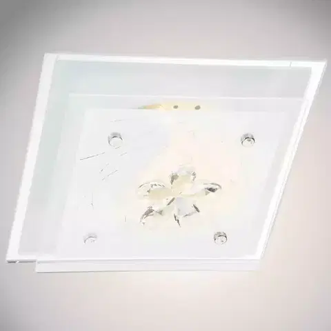 Moderné lampy do obývačky Stropná lampa 48310-1F KW P250