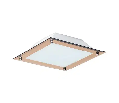 Svietidlá Rabalux 3045 - LED stropné svietidlo LARS 1xLED/12W/230V 3045
