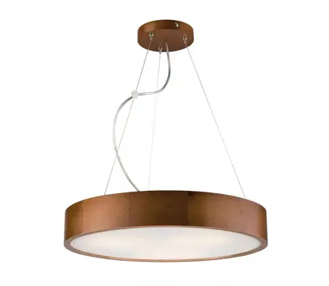 Svietidlá  Luster na lanku 3xE27/60W/230V ø 47 cm LD.PD 6.3/Z