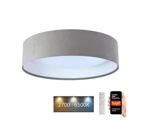 Svietidlá  LED Stropné svietidlo SMART GALAXY LED/24W/230V Wi-Fi Tuya šedá/biela + DO 