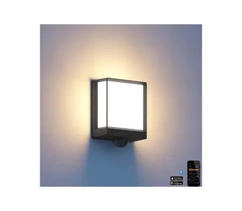 Záhradné lampy Steinel 085247 - LED Vonkajšie nástenné svietidlo so senzorom L40SC LED/12,9W/230V 085247