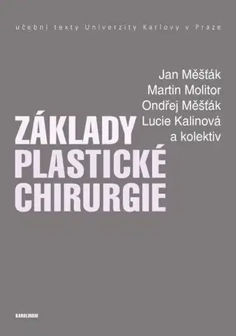 Chirurgia, ortopédia, traumatológia Základy plastické chirurgie - Jan Měšťák,Martin,Ondřej Měšťák,Lucie Kalinová a kolektiv