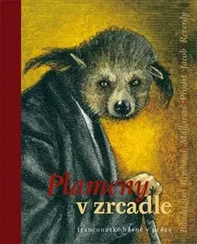 Novely, poviedky, antológie Plameny v zrcadle - Zdeněk Hron