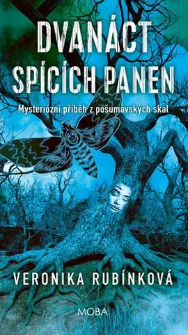 Detektívky, trilery, horory Dvanáct spících panen - Veronika Rubínková