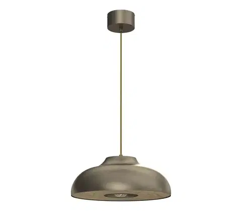 Svietidlá  Luster na lanku BILBAO 1xE27/15W/230V pr. 40 cm mosadz 9934