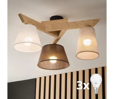 Svietidlá BRILAGI - LED  Prisadený luster ANTHONY 3xE14/40W/230V dub 8590828610700