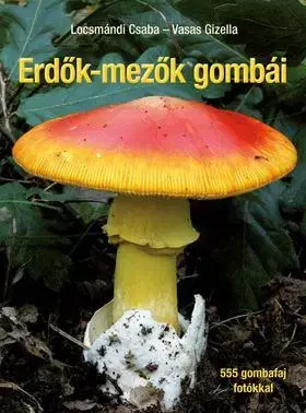 Záhrada - Ostatné Erdők-mezők gombái - Javított utánnyomás - Kolektív autorov
