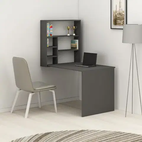 Písacie stoly Písací stôl Sedir - Anthracite
