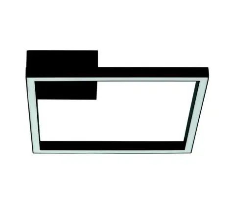 Svietidlá Zam 2029 - LED Stmievateľný prisadený luster LED/12W/230V čierna 2029
