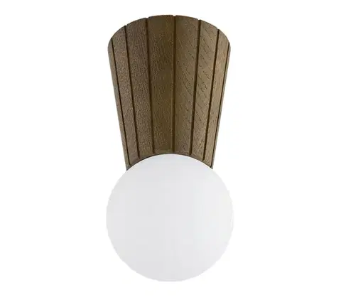 Svietidlá Argon 8974 - Kúpeľňové stropné svietidlo VOLANTE 1xG9/6W/230V IP44 pr. 12 cm hnedé 8974