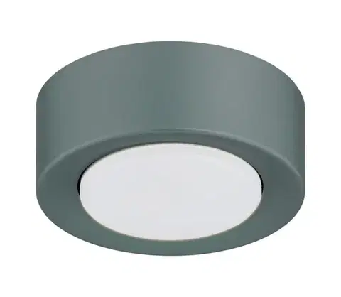 Svietidlá Argon 8917 - Stropné svietidlo ELORA 1xGX53/7W/230V Ø 11 cm sivé 8917