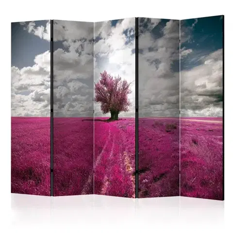 Paravány Paraván Magenta meadow Dekorhome