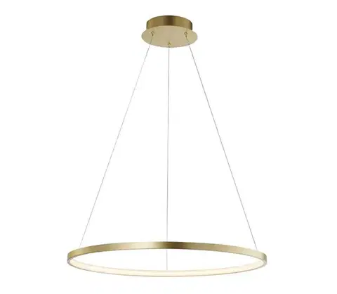 LED osvetlenie Leuchten Direkt 11524-12 - LED Luster na lanku CIRCLE LED/28,5W/230V 11524-12