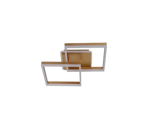Svietidlá  Stmievateľné LED stropné svietidlo LED/80W/230V 3000-6500K + diaľkové ovládanie J3366/G