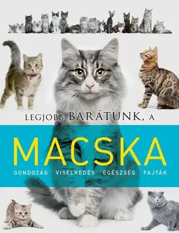 Mačky Legjobb barátunk a macska - Kolektív autorov,Márta Mayer