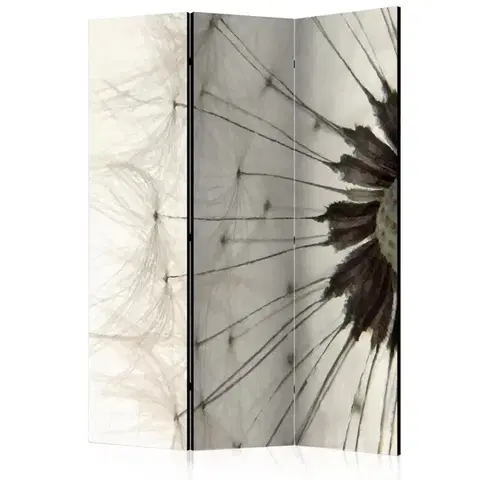 Paravány Paraván White Dandelion Dekorhome