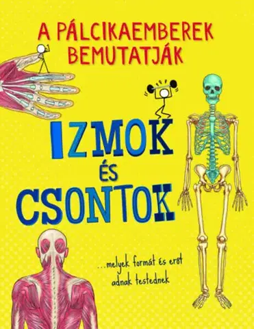 Ľudské telo A pálcikaemberek bemutatják - Izmok és csontok