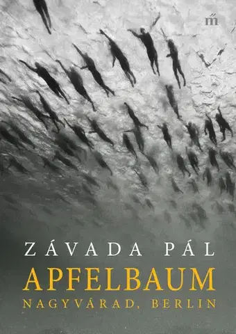 Svetová beletria Apfelbaum - Pál Závada