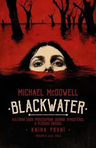 Detektívky, trilery, horory Blackwater 1 - Michael McDowell