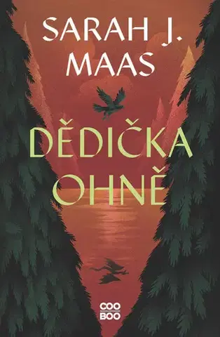 Young adults Dědička ohně - Sarah J. Maas