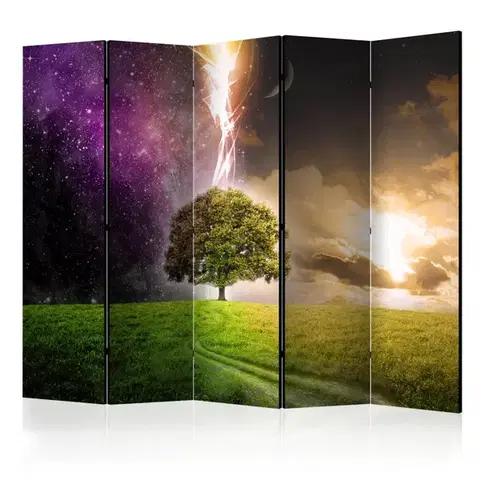 Paravány Paraván Magic Tree Dekorhome