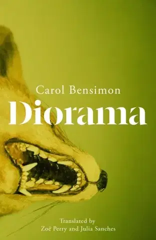 Beletria Diorama - Carol Bensimon