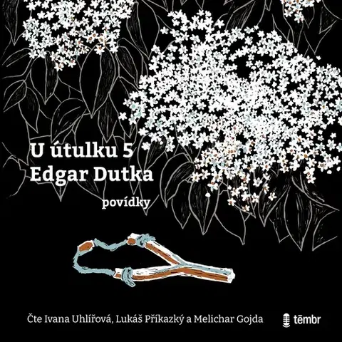 Novely, poviedky, antológie Témbr U útulku 5