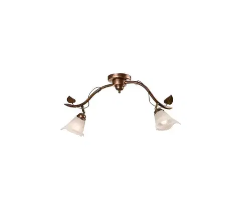 Svietidlá  Bodové svietidlo IVY 2xE14/40W/230V LM 2.2 br
