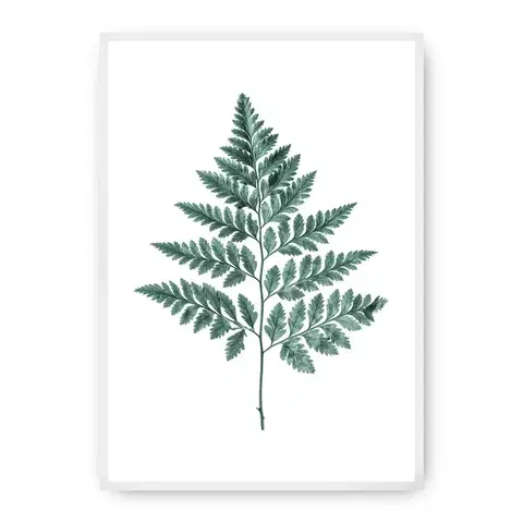 Obrazy Plagát Fern 21 x 30 cm Emerald Green