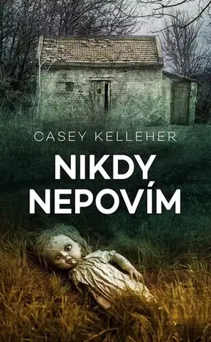 Detektívky, trilery, horory Nikdy nepovím - Casey Kelleher,Jana Pacnerová