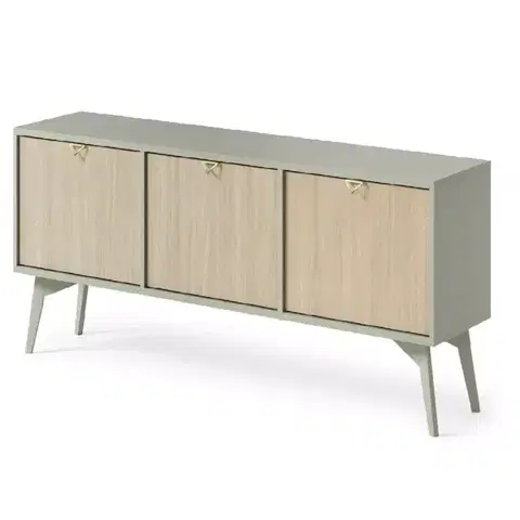 Všetky produkty TV stolík Forest 158 eukalyptus/jedľa scandi