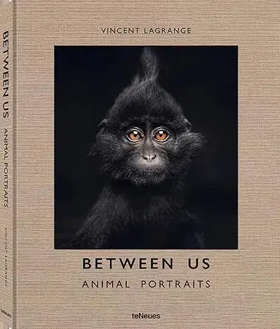 Fotografia Between Us: Animal Portraits - Vincent Lagrange