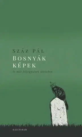 Eseje, úvahy, štúdie Bosnyák képek - És más feljegyzések útközben - Pál Száz